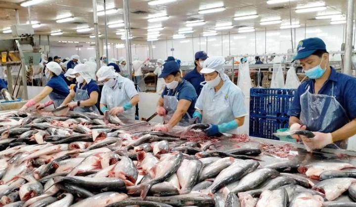 Thêm doanh nghiệp được xuất khẩu thủy sản sang Đài Loan (Trung Quốc)