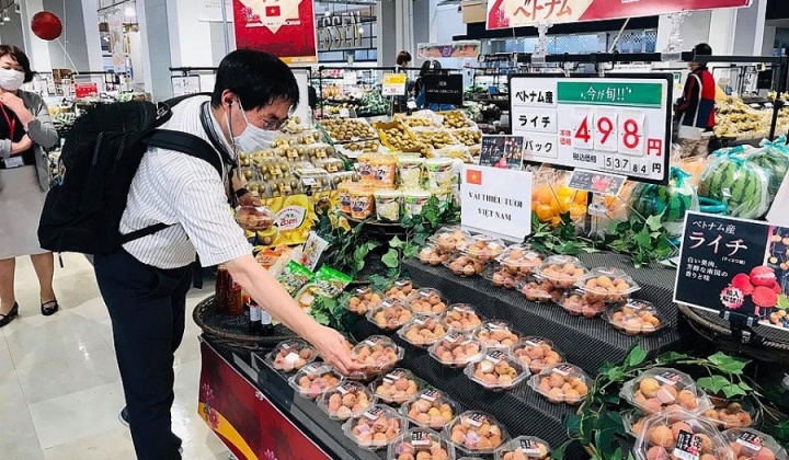 Mở rộng thị trường xuất khẩu vải thiều thông qua “cầu nối” Thương vụ