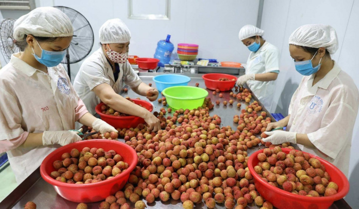 Bức tranh kinh tế - xã hội 6 tháng đầu năm 2023 có thêm điểm sáng