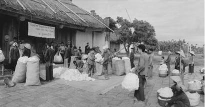 Mạng lưới mậu dịch quốc doanh được hình thành thế nào?