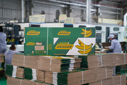 Nhà máy Bao bì (THACO Industries): Đẩy mạnh sản xuất thùng carton từ chất liệu giấy tái sinh