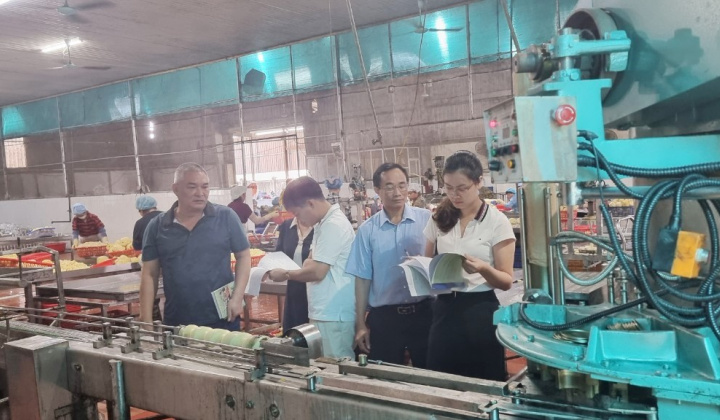 Ninh Bình: Nhiều giải pháp nâng cao chất lượng công tác khuyến công