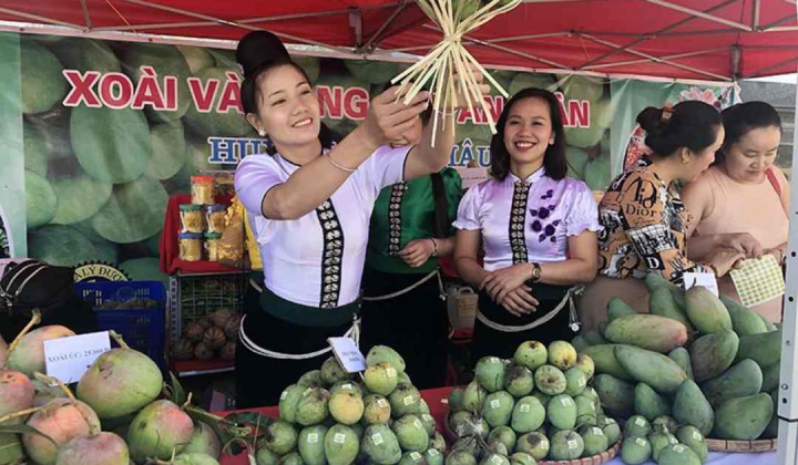 Xoài Sơn La đáp ứng tiêu chuẩn cao, “rộng cửa” vào Australia