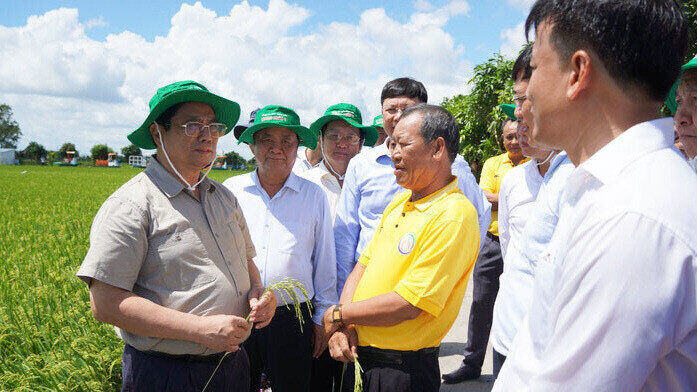 Thành lập Trung tâm đầu mối nông sản và thuỷ sản nước ngọt vùng Đồng Tháp Mười