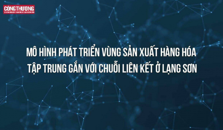 Mô hình phát triển vùng sản xuất hàng hóa tập trung gắn với chuỗi liên kết ở Lạng Sơn