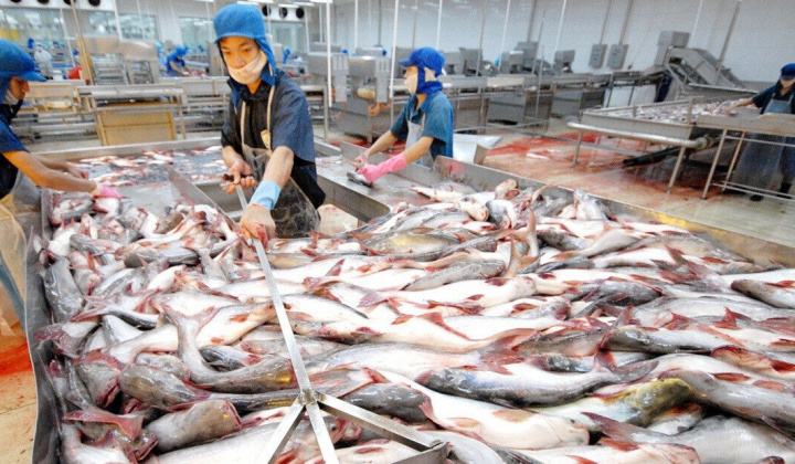 Kỳ vọng xuất khẩu cá tra phục hồi từ quý 3