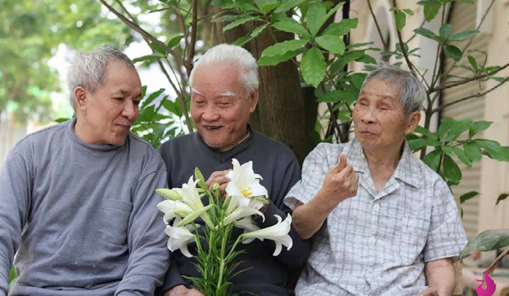 Chính phủ thống nhất giảm độ tuổi hưởng trợ cấp hưu trí