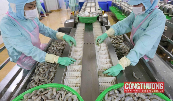 Thực phẩm Sao Ta (FMC): Doanh số tháng 7 phục hồi mạnh, dự báo xuất khẩu nửa cuối năm tăng tốc