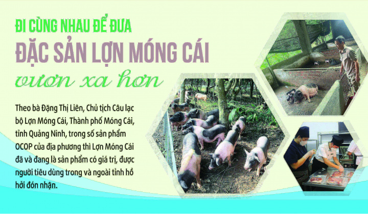 Đi cùng nhau để đưa đặc sản Lợn Móng Cái vươn xa hơn