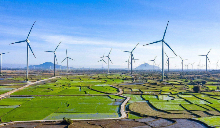 Tập đoàn Gelex (GEX): Hầu hết các mảng kinh doanh đã phục hồi tích cực