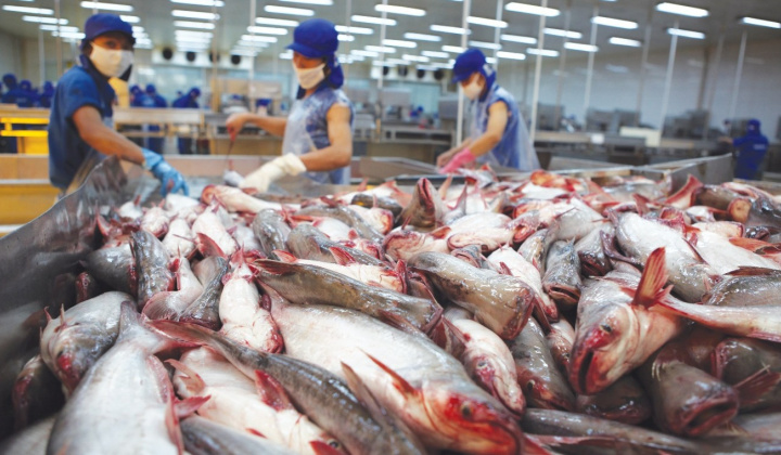 Xuất khẩu cá tra tấn công thị trường ngách