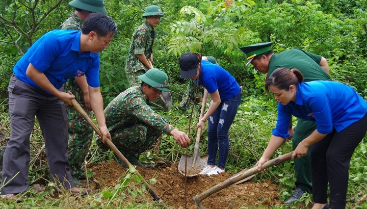 Triển khai Tuyên bố Glasgow về rừng và sử dụng đất