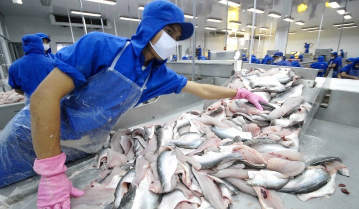 Trung Quốc cấm nhập thủy sản từ Nhật Bản, Việt Nam liệu có hưởng lợi?