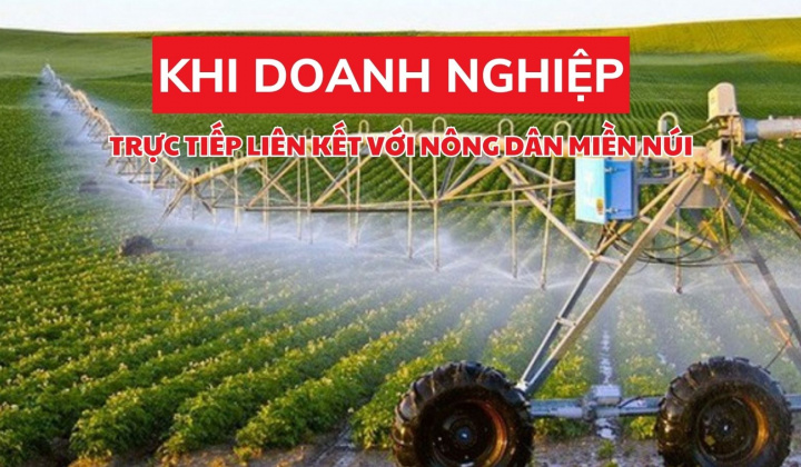 Khi doanh nghiệp trực tiếp liên kết với nông dân miền núi