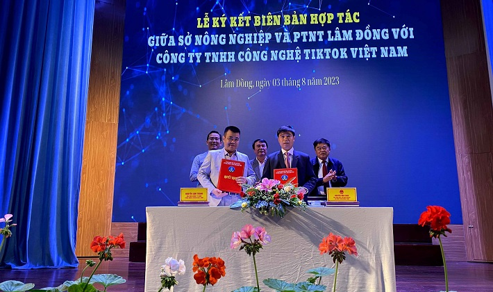 Lâm Đồng livetream “Chợ Phiên OCOP" nên nền tảng TikTok