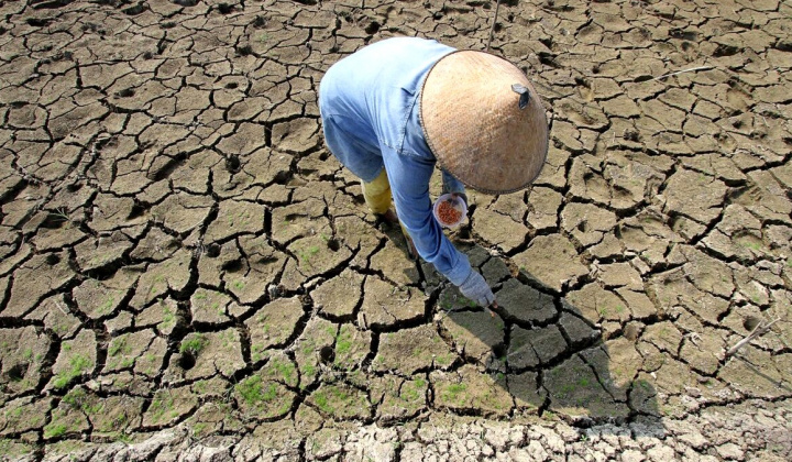 Thái Lan: Khó đáp ứng đủ nhu cầu xuất khẩu gạo khi nguồn cung dự kiến giảm