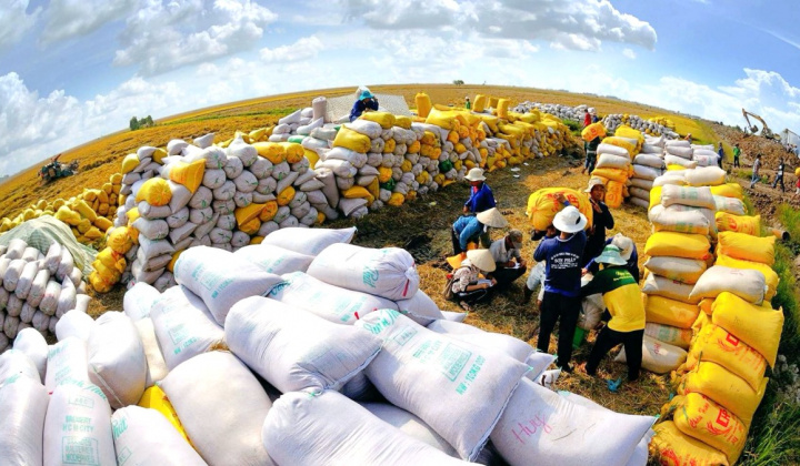 Thêm 2 nước cấm xuất khẩu gạo, cổ phiếu gạo kỳ vọng gì trong nửa cuối năm nay?