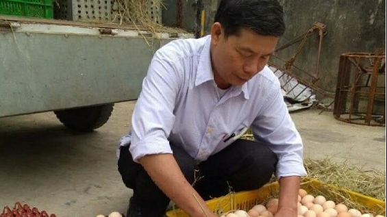 Thoát nghèo từ mô hình ấp trứng và cung cấp con giống