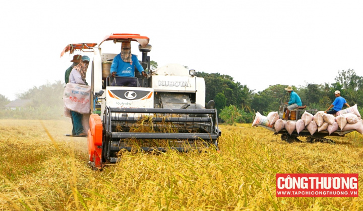 Cổ phiếu VSF của Vinafood 2 bất ngờ “nằm sàn”, sóng cổ phiếu gạo đã đến hồi kết?