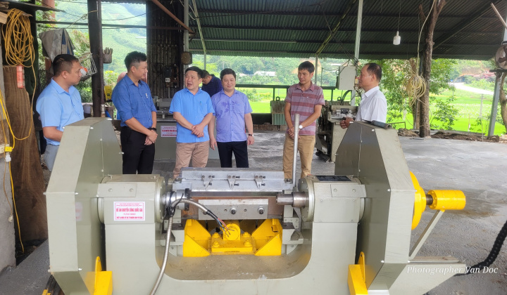Tuyên Quang: Hỗ trợ ứng dụng thiết bị tiên tiến trong sản xuất gỗ ghép thanh