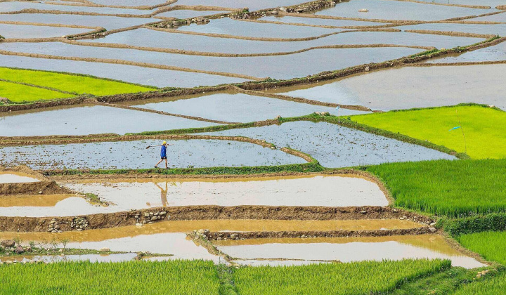 Đảm bảo nước gieo cấy vụ Đông Xuân và cung cấp điện mùa khô 2024