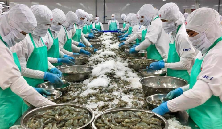 Xuất khẩu thuỷ sản Việt Nam sang Hoa Kỳ tăng 80% sau 10 năm