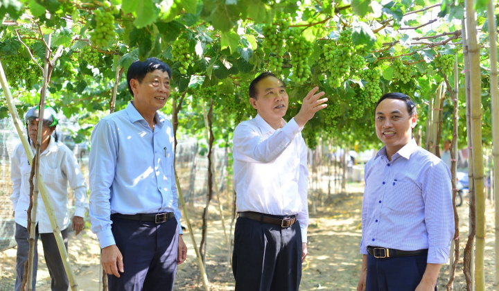 Analyzing the factors affecting the business performance of small and medium-sized enterprises in Ninh Thuan province