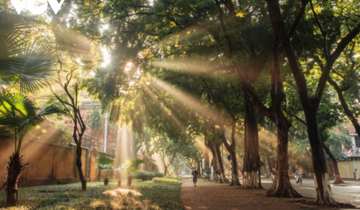 Thời tiết hôm nay ngày 19/9/2023: Hà Nội trời nắng, Thành phố Hồ Chí Minh, Đà Nẵng mưa về chiều tối