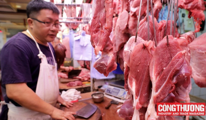 Giá heo hơi hôm nay 19/9: Người dân chuẩn bị sẵn sàng tái đàn, giá heo giống tăng trở lại