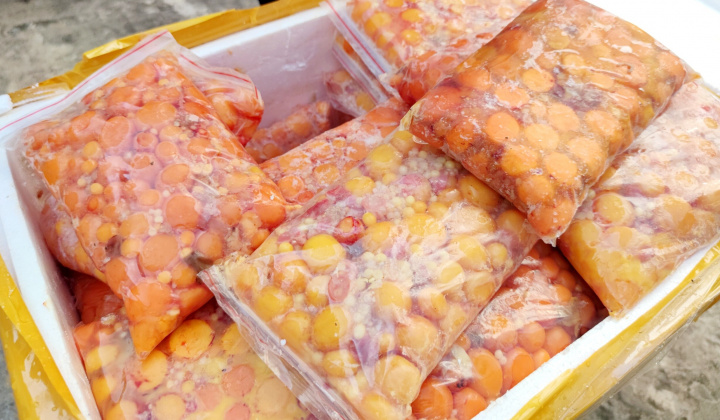 Lào Cai: Tạm giữ hơn nửa tấn trứng non không rõ nguồn gốc xuất xứ