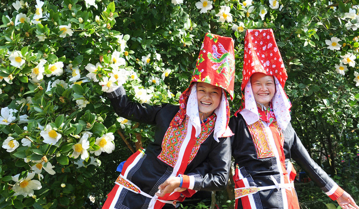 Bình Liêu - Vẻ đẹp hùng vĩ miền biên viễn