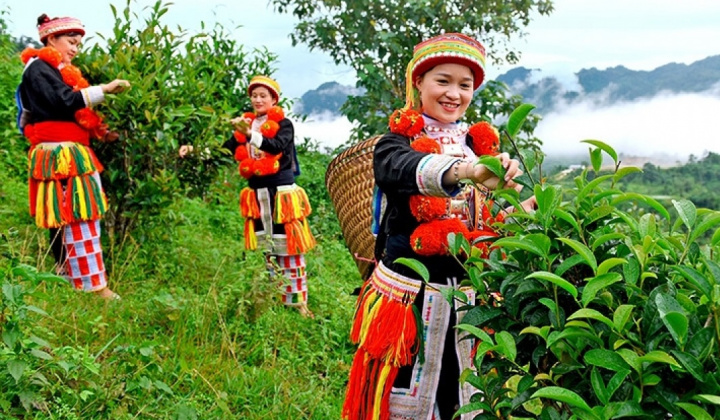 Quảng bá thương hiệu sản phẩm qua hoạt động văn hoá - du lịch