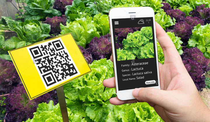 Truy xuất nguồn gốc bằng QRCode - Đảm bảo tính chính xác và xác thực sản phẩm