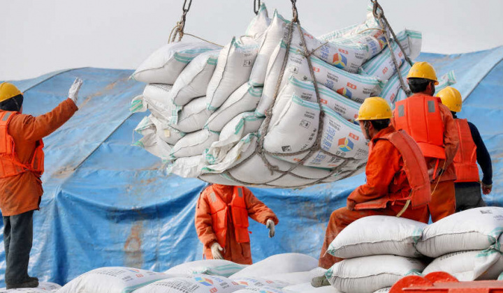 Bloomberg: Giá phân ure tăng vọt, Trung Quốc yêu cầu tạm dừng xuất khẩu