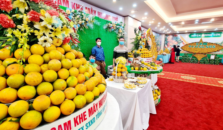 Sắp diễn ra Lễ hội Cam và các sản phẩm Hà Tĩnh năm 2024