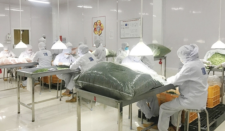 Lâm Đồng: Đẩy mạnh hoạt động khuyến công hỗ trợ phát triển công nghiệp