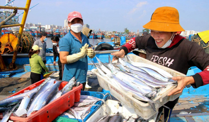 Thủ tướng: Khẩn trương triển khai hỗ trợ nguồn vốn khôi phục sản xuất kinh doanh