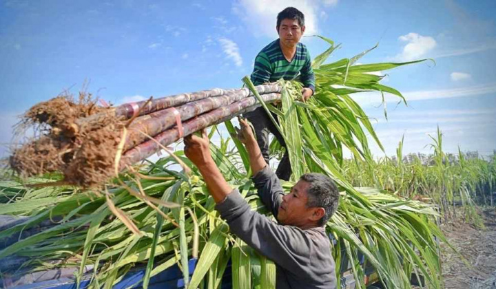 AI NEWS - Nền tảng tin tức chứng khoán