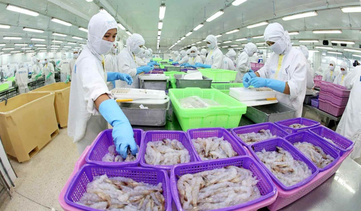 Thực phẩm Sao Ta (FMC): Doanh thu lập kỷ lục, đã trích trước chi phí thuế chống bán phá giá