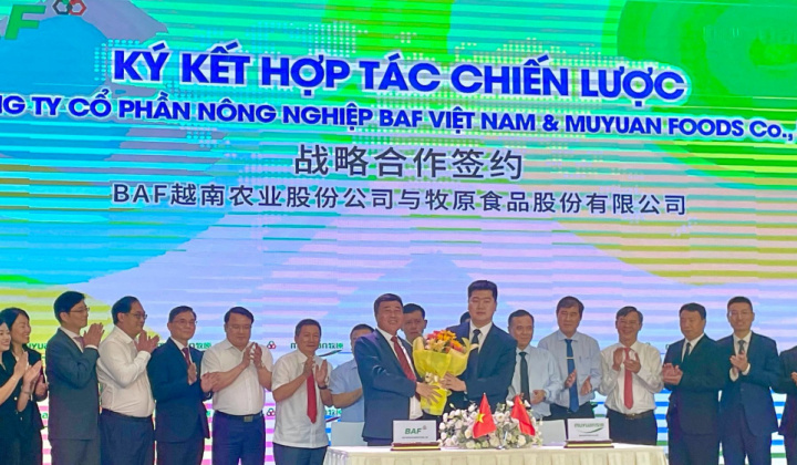 Muyuan - Đối tác Chiến lược của BaF Việt Nam (BAF) có tiềm lực như nào?