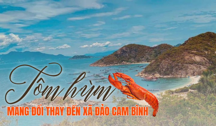 Tôm hùm mang đổi thay đến xã đảo Cam Bình