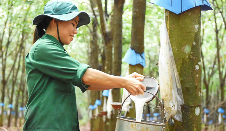 AI NEWS - Nền tảng tin tức chứng khoán