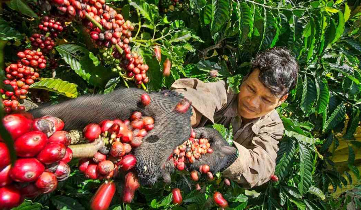 Minh Khang Capital (CTP): Giá cổ phiếu tăng 675%, Chủ tịch thoái toàn bộ vốn và từ nhiệm