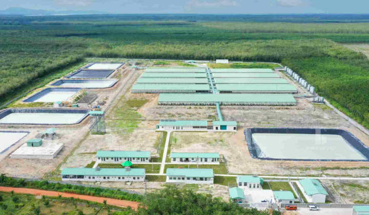 BaF Việt Nam (BAF) muốn chào bán riêng lẻ 65 triệu cổ phiếu, tăng vốn vượt 3.000 tỷ đồng