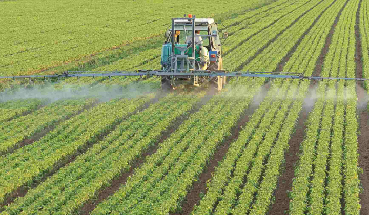 Thị trường nội địa lẫn thế giới dư cung, doanh nghiệp phân bón gặp khó