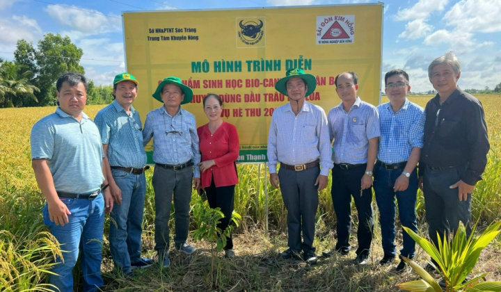 Phân bón Bình Điền và hiệu quả của mô hình canh tác lúa thông minh, thích ứng với biến đổi khí hậu