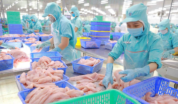 Giá cước tàu tăng cao, Đa Quốc Gia IDI có thể vỡ kế hoạch năm nay