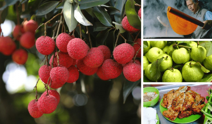 Những điểm sáng trong công tác quản lý an toàn thực phẩm tỉnh Hải Dương