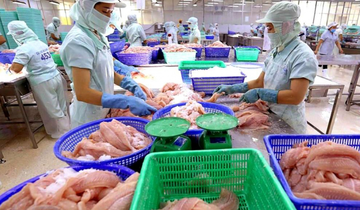 Thủy sản Vĩnh Hoàn (VHC): Xuất khẩu cá tra sang Mỹ tăng gấp 2,6 lần