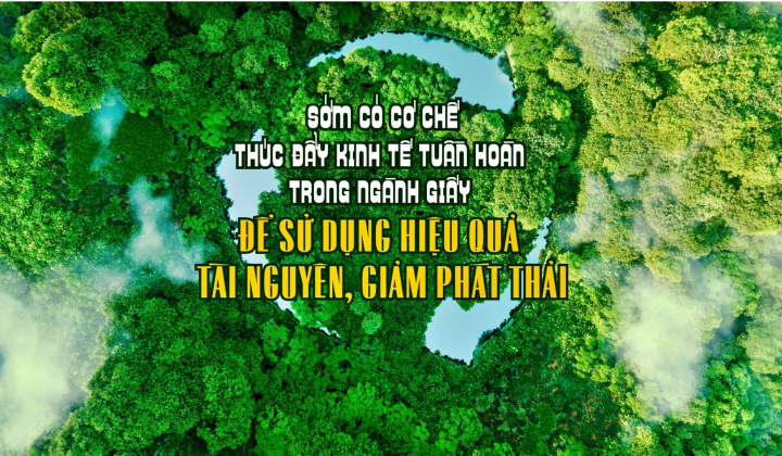 Sớm có cơ chế thúc đẩy kinh tế tuần hoàn trong ngành Giấy để sử dụng hiệu quả tài nguyên, giảm phát thải